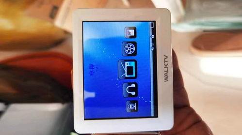 国产最新小视频,创意无限，青春风采